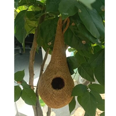 Natural Coir Bird Nest